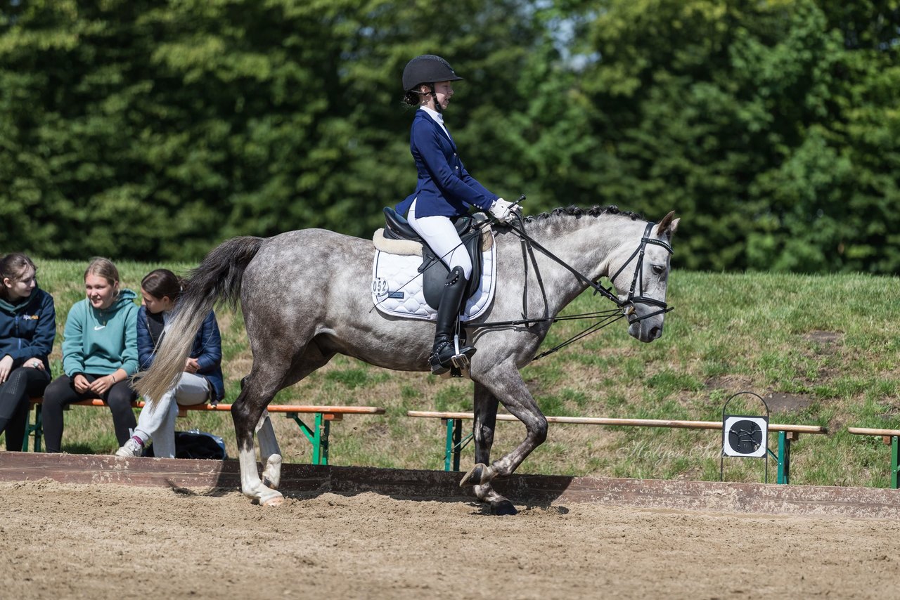 Bild 6 - Pony Akademie Turnier